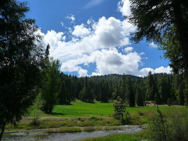 Fully Operational 4-Room Established Bed & Breakfast: 1221 Highway 41, Fish Camp, CA 93623
